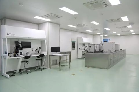 九个月供卵宝宝饮食中能否添加盐的探讨